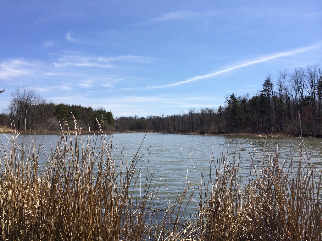 View of lower pond